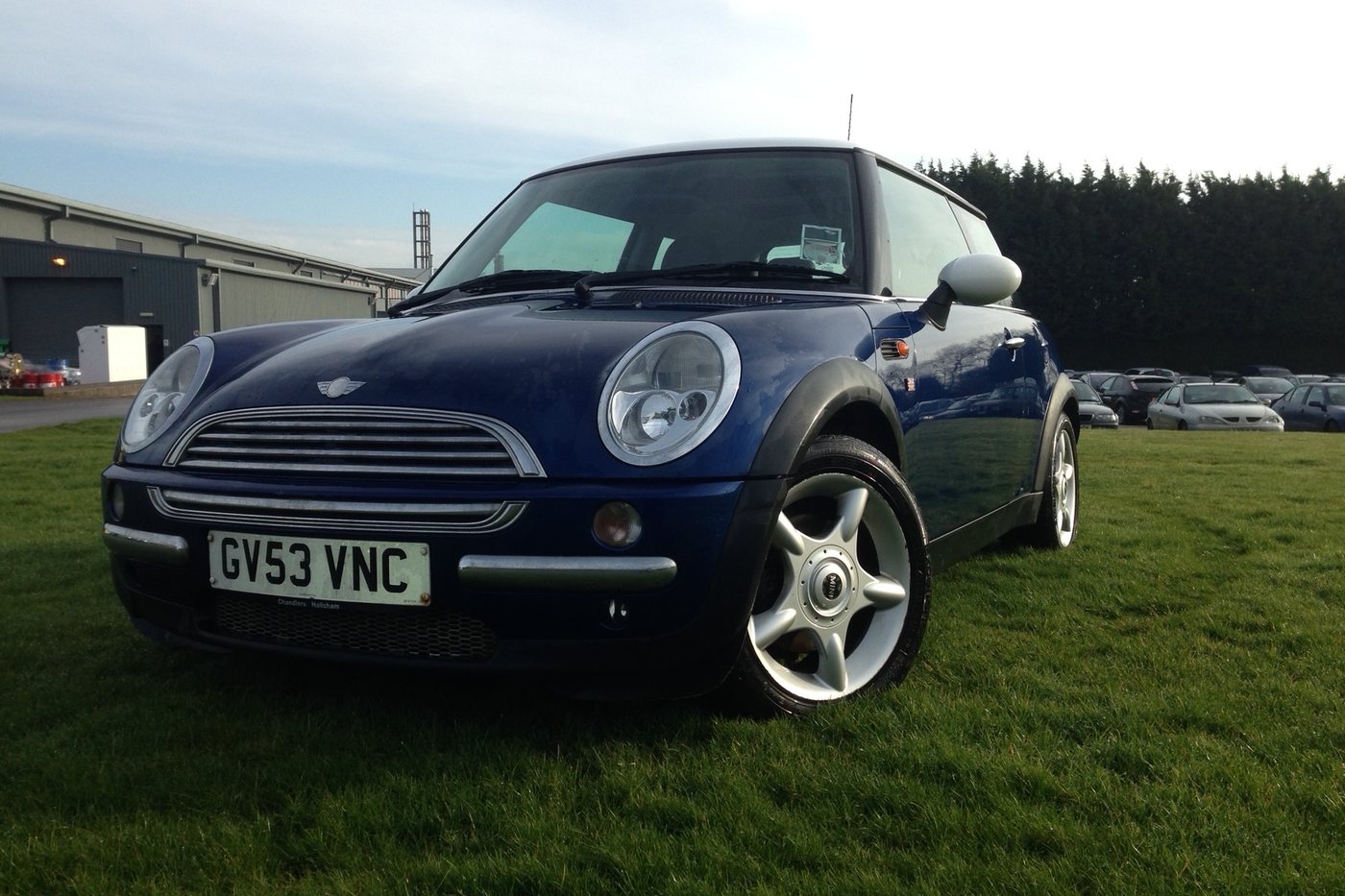 Blue Mini parked on grass